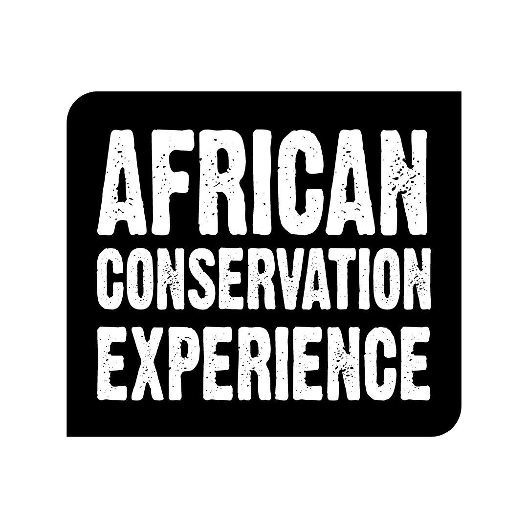 African Conservation Experience