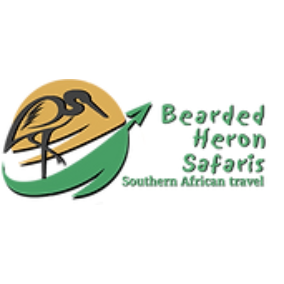 Bearded Heron Safaris