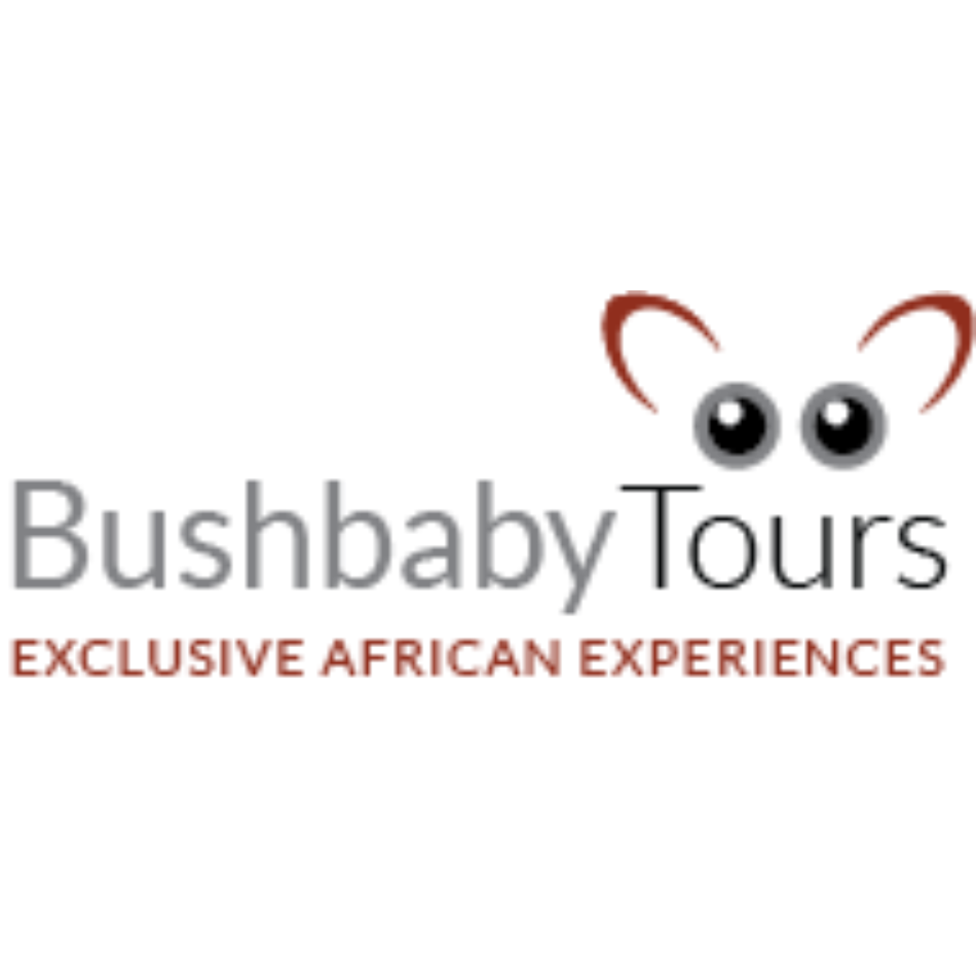 Bushbabytours