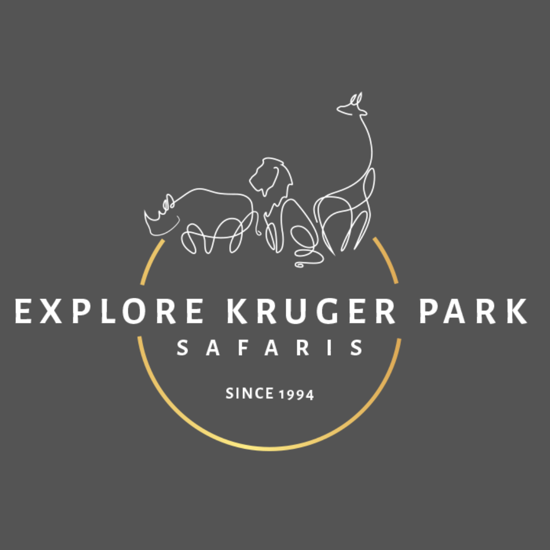 Explore Kruger Park